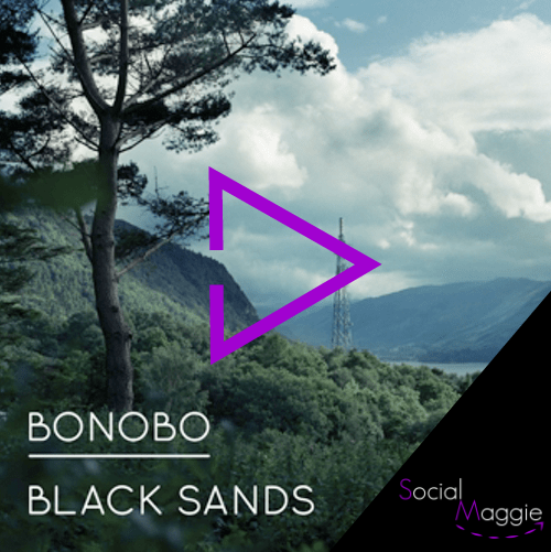 Bonobo-socialmaggie