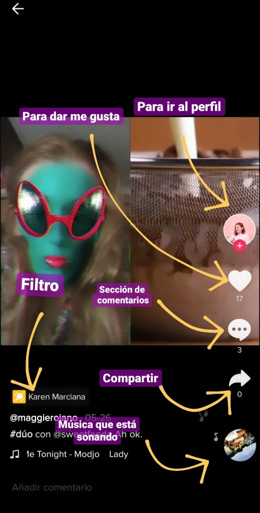 socialmaggie-elementos-pantala-tik-tok